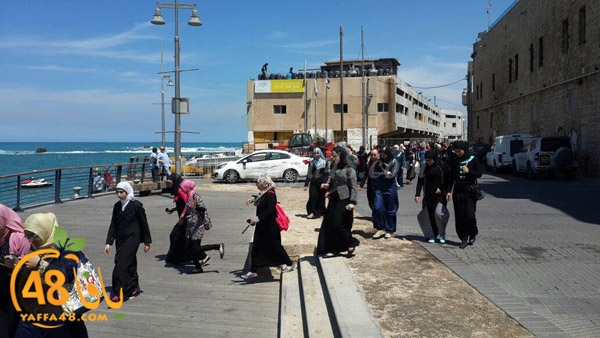 nesa2 wafed ej (6).JPG